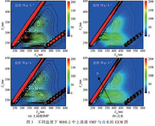 高 盐废水MBR水处理工艺
