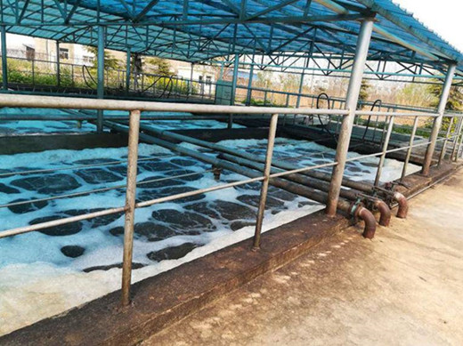 屠宰废水处理设备
